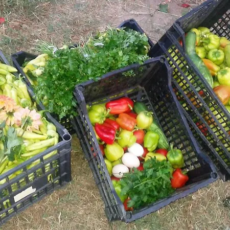 Geranion Village Üdülőközpont 5*