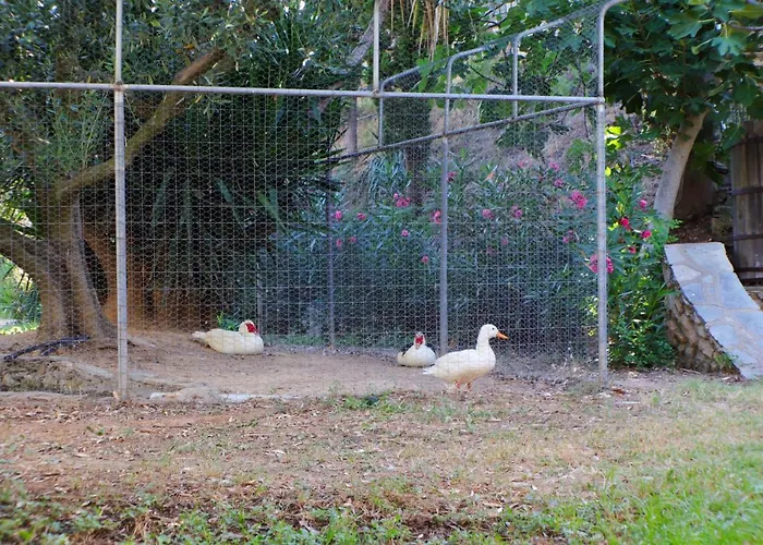 Geranion Village Nikiti (Sithonia)