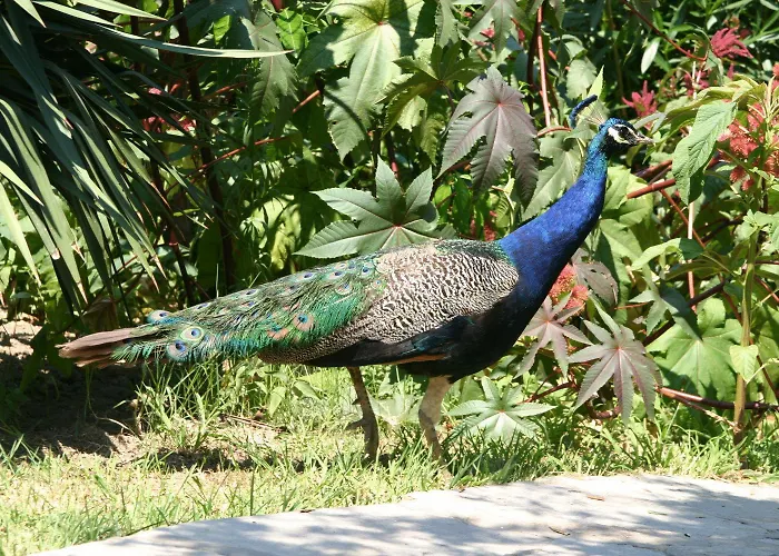 Geranion Village Complex 5*